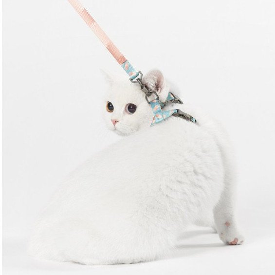 PIDAN Cat Harness & Leash Set H-Style Escape Proof Soft Adjustable Comfortable Walking Vest for Indoor Outdoor Cats - Image 2